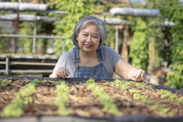 Quels sont les styles de mini piscines à coque en vogue dans le design actuel ?