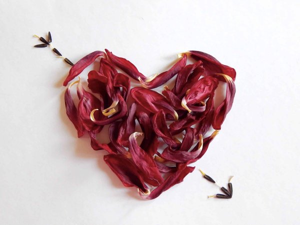 Êtes-vous à la recherche du grand amour ?