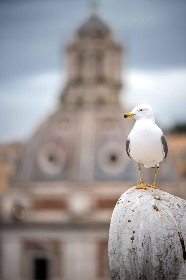 Rome : les meilleurs endroits à explorer