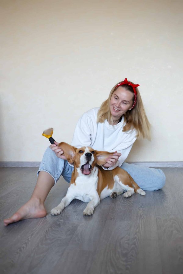 Astuces pour utiliser un Furminator Chien.