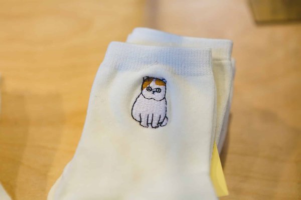 Stylez votre chat avec les chaussettes pour chat