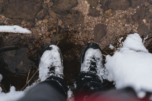 Investir basket air jordan : guide ultime